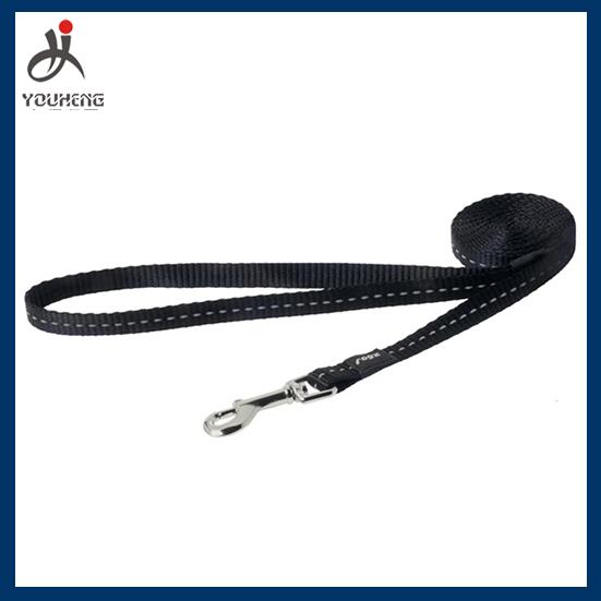 Dog lead with reflective string