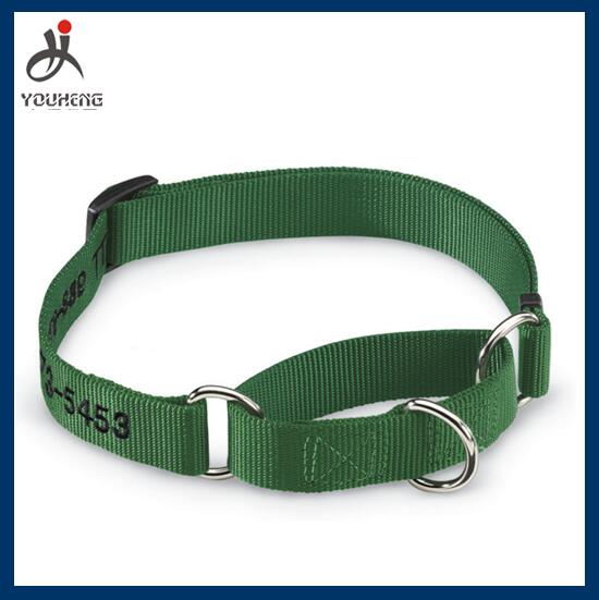 Nylon dog collar with screen print