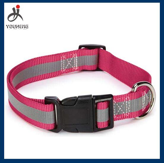 Nylon dog collar with reflective strap